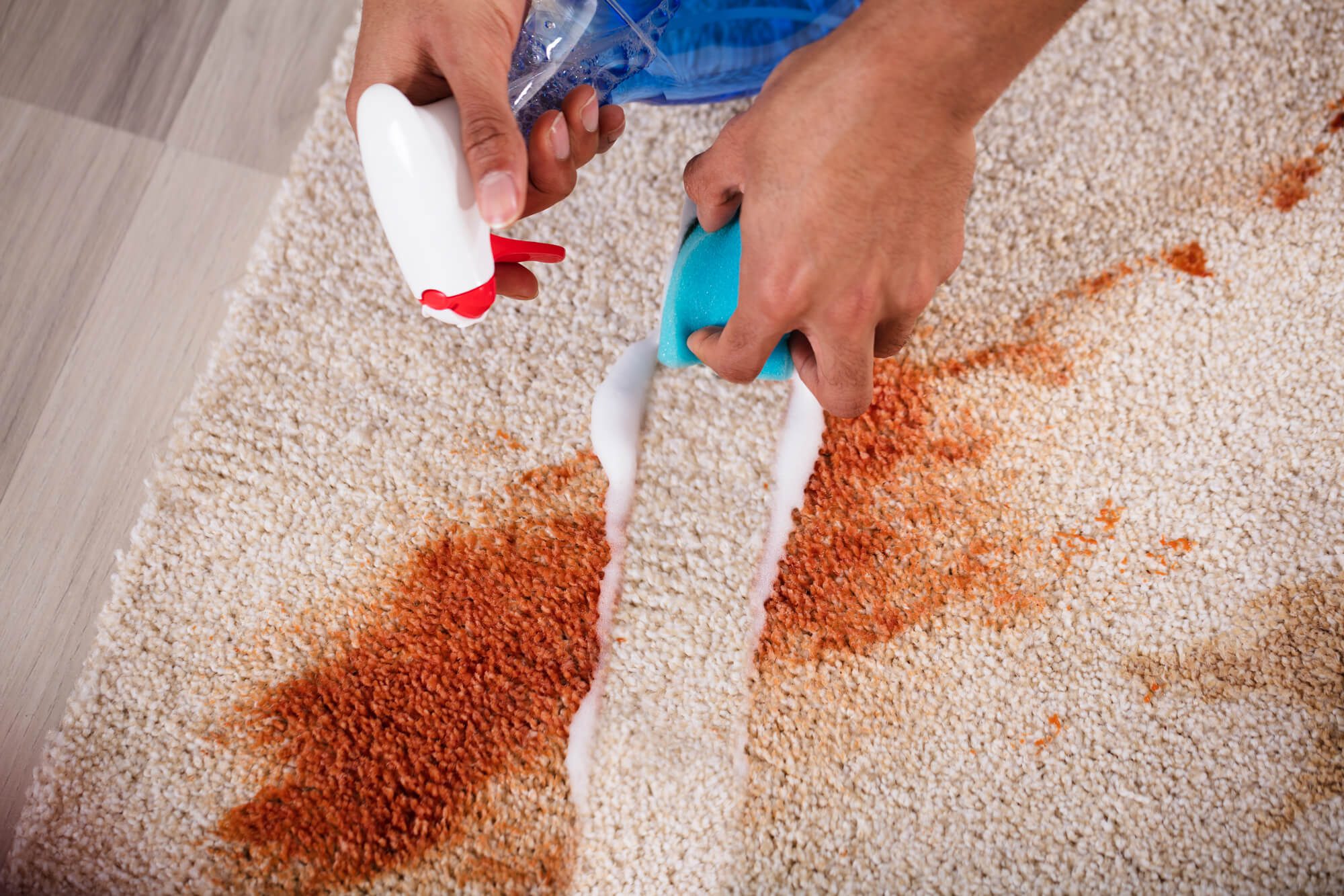 Carpet cleaning services for home and business owners in Maryland