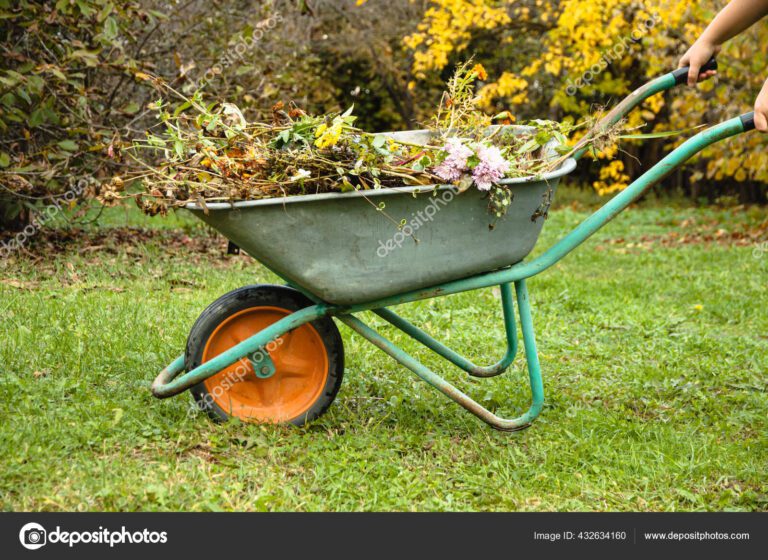 A garden steel robust wheelbarrow with garden garbage. Concept preparing garden for winter season